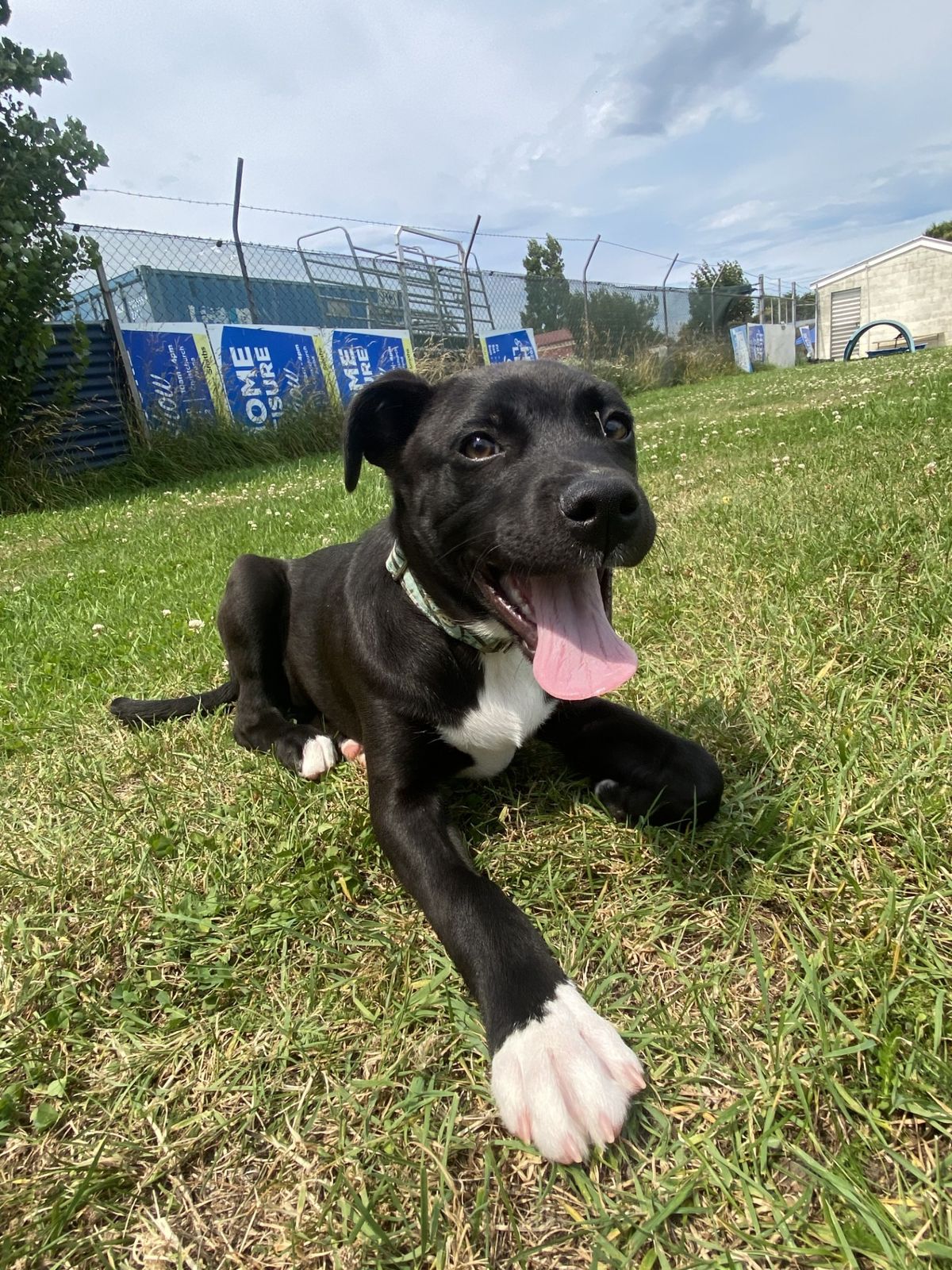 Gallery image: Holly 