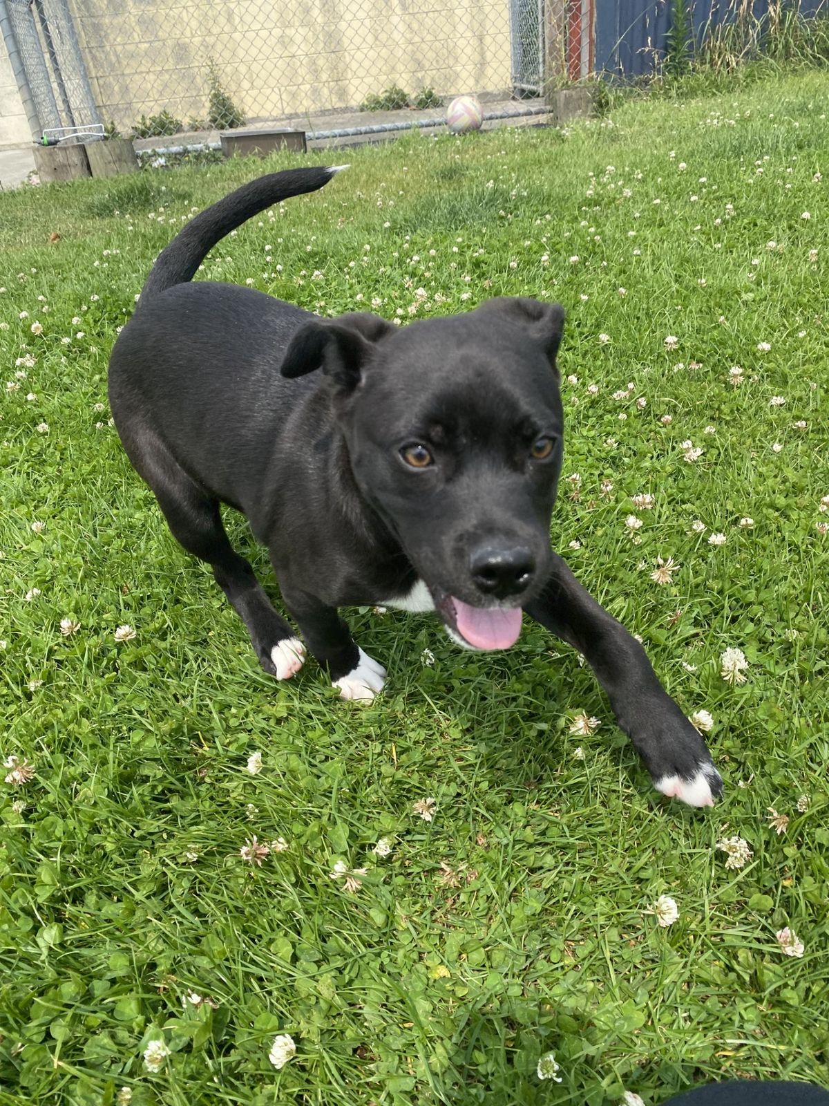 Gallery image: Holly 