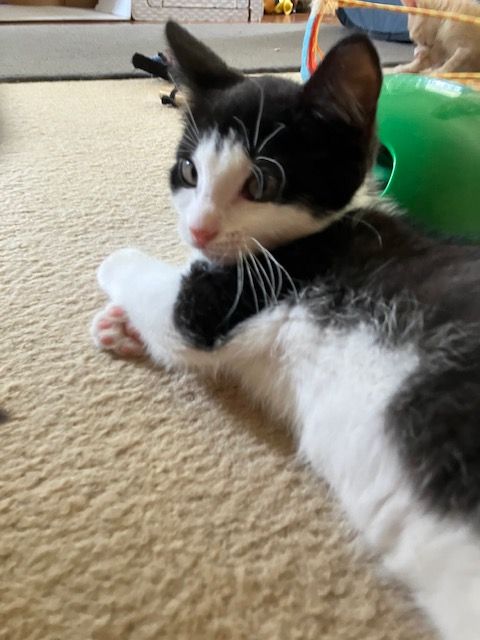 Gallery image: Trevor