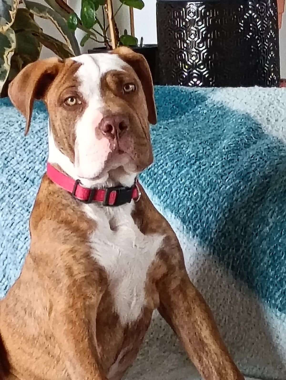 Gallery image: Boston