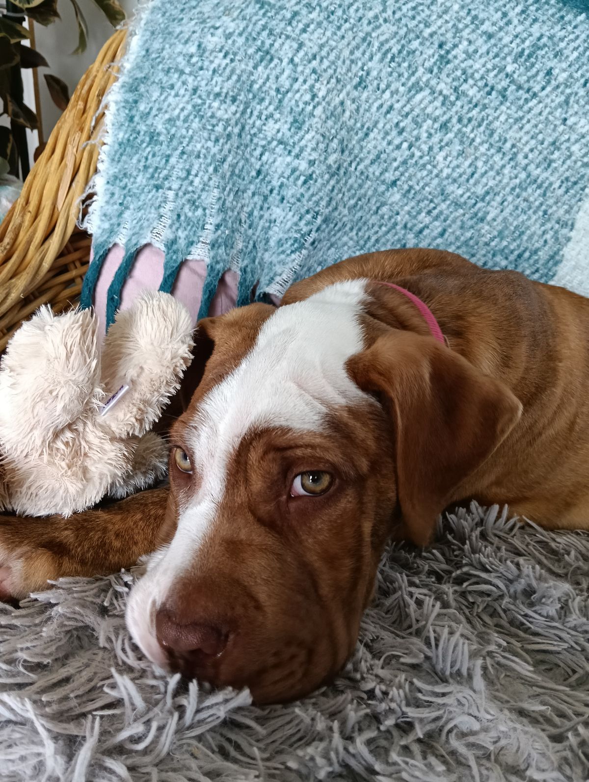 Gallery image: Boston