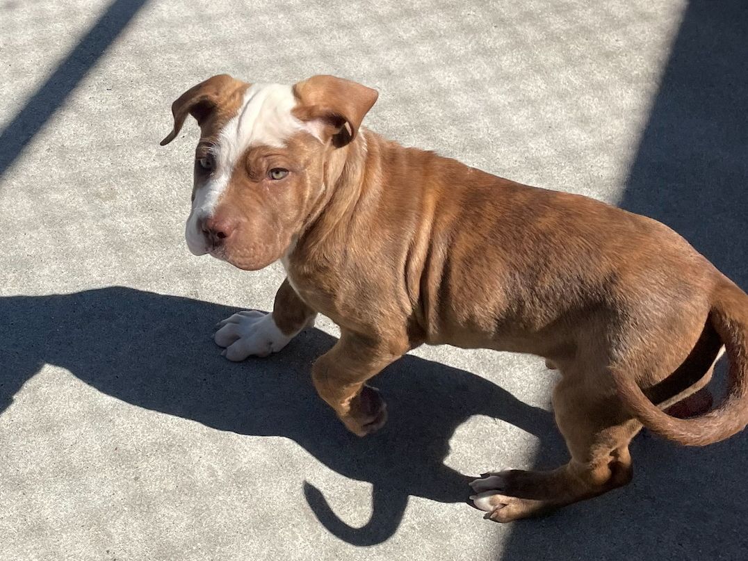 Gallery image: Boston