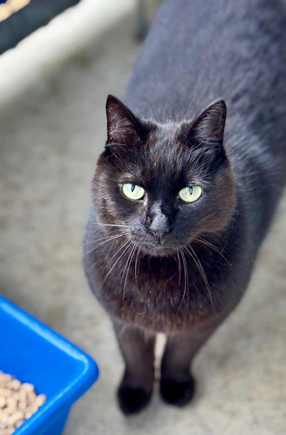 Gallery image: Miss Gummy