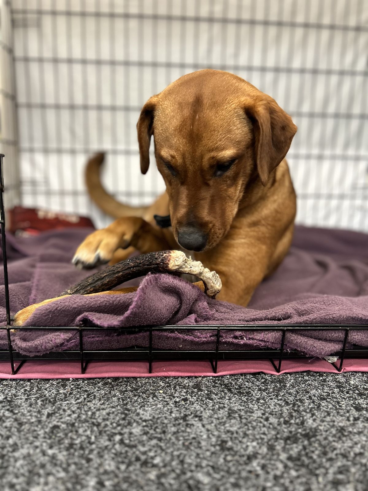 Gallery image: Sae-Dee