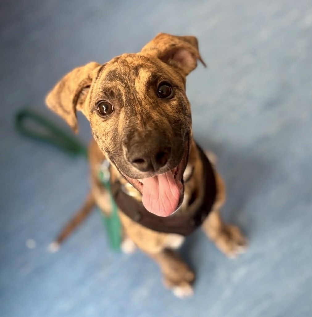 Gallery image: Winter