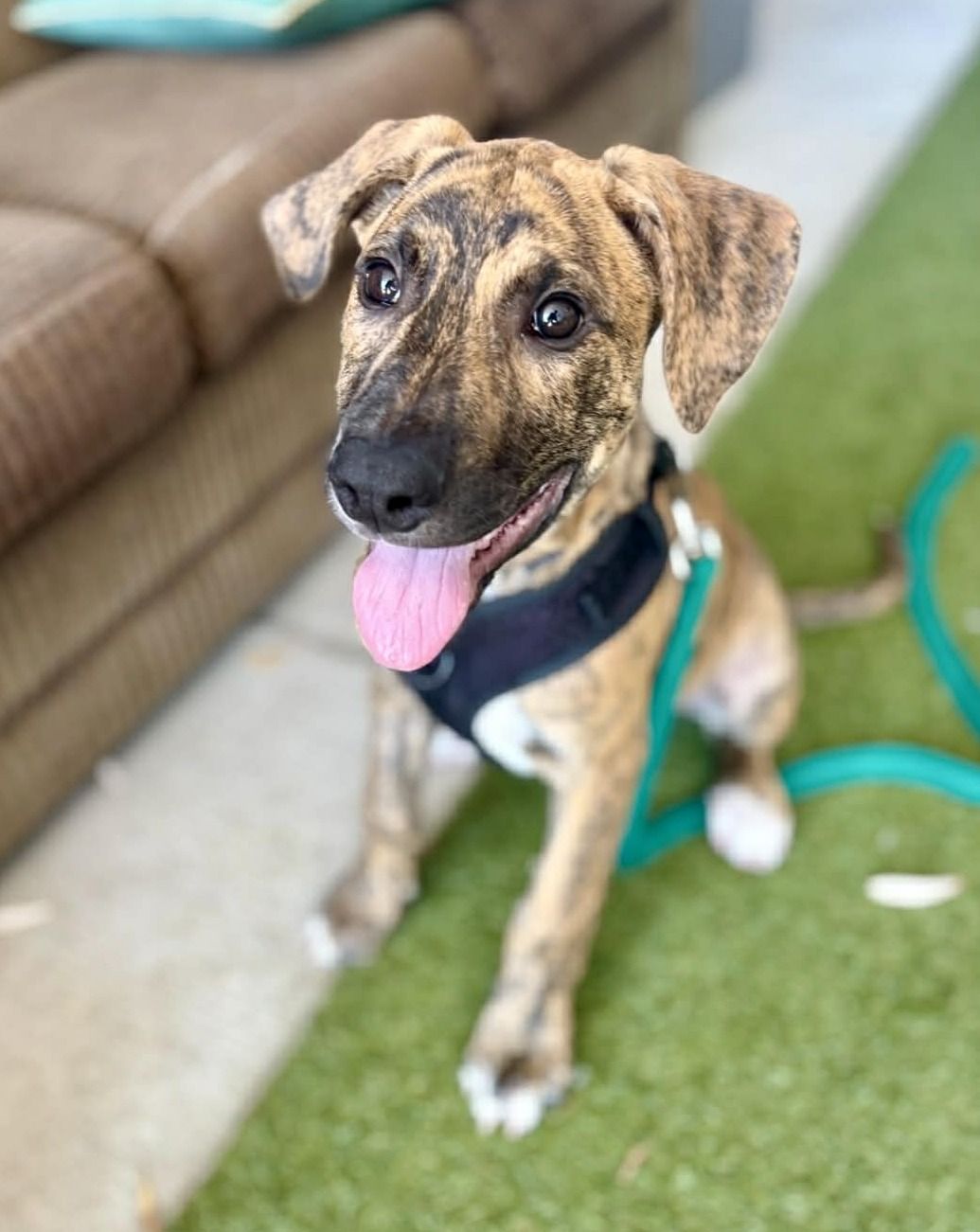 Gallery image: Winter