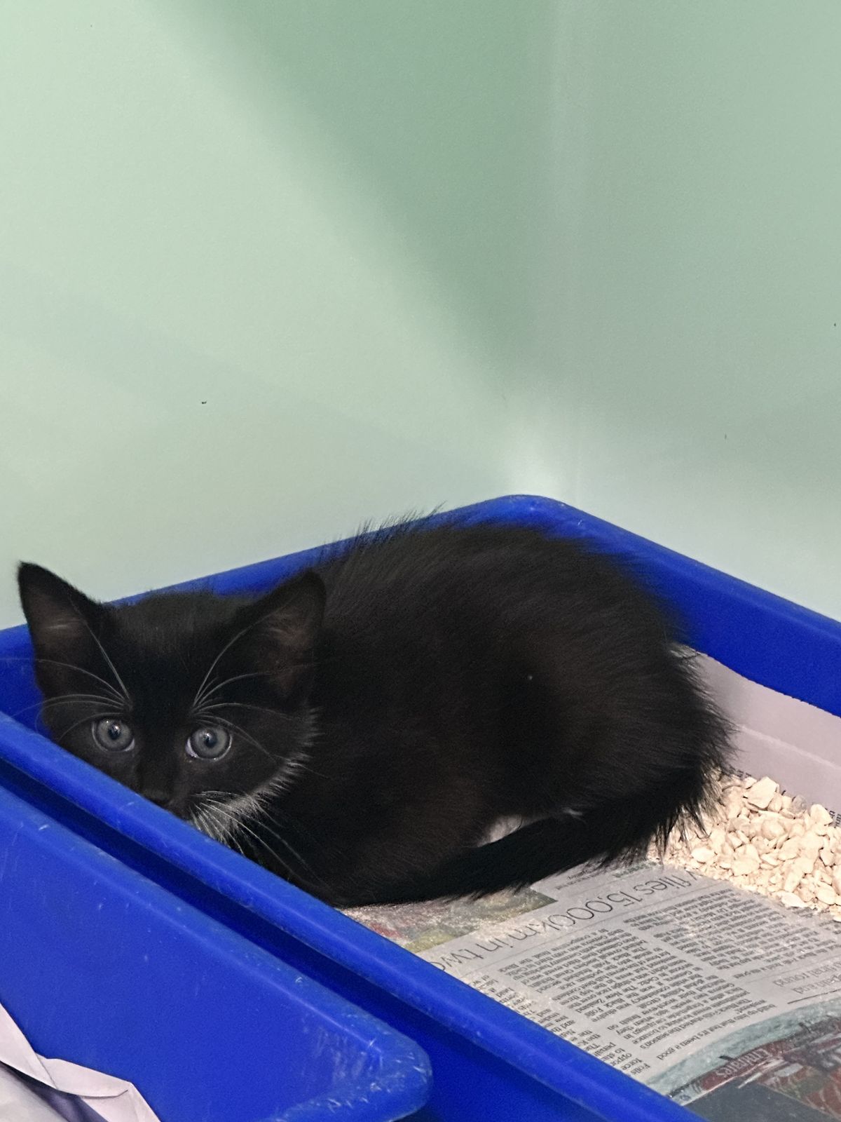 Gallery image: Monaco