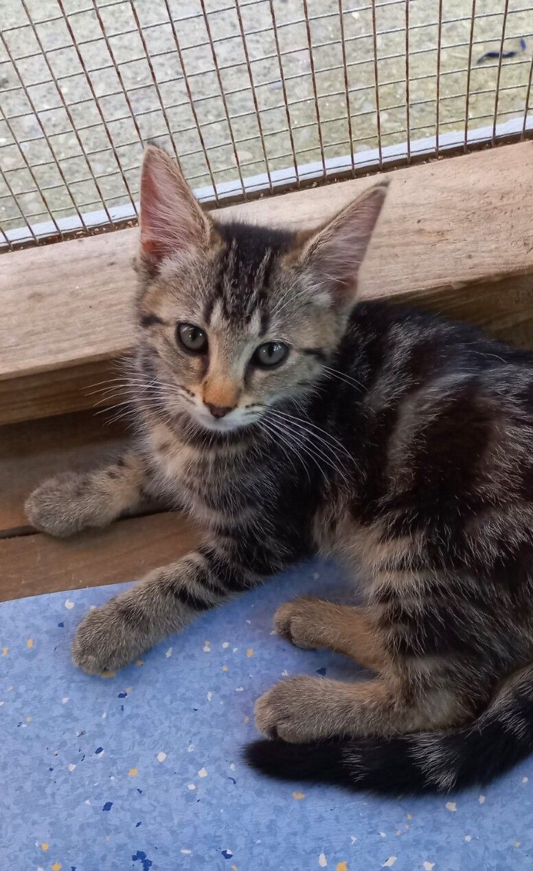 Gallery image: Madrid