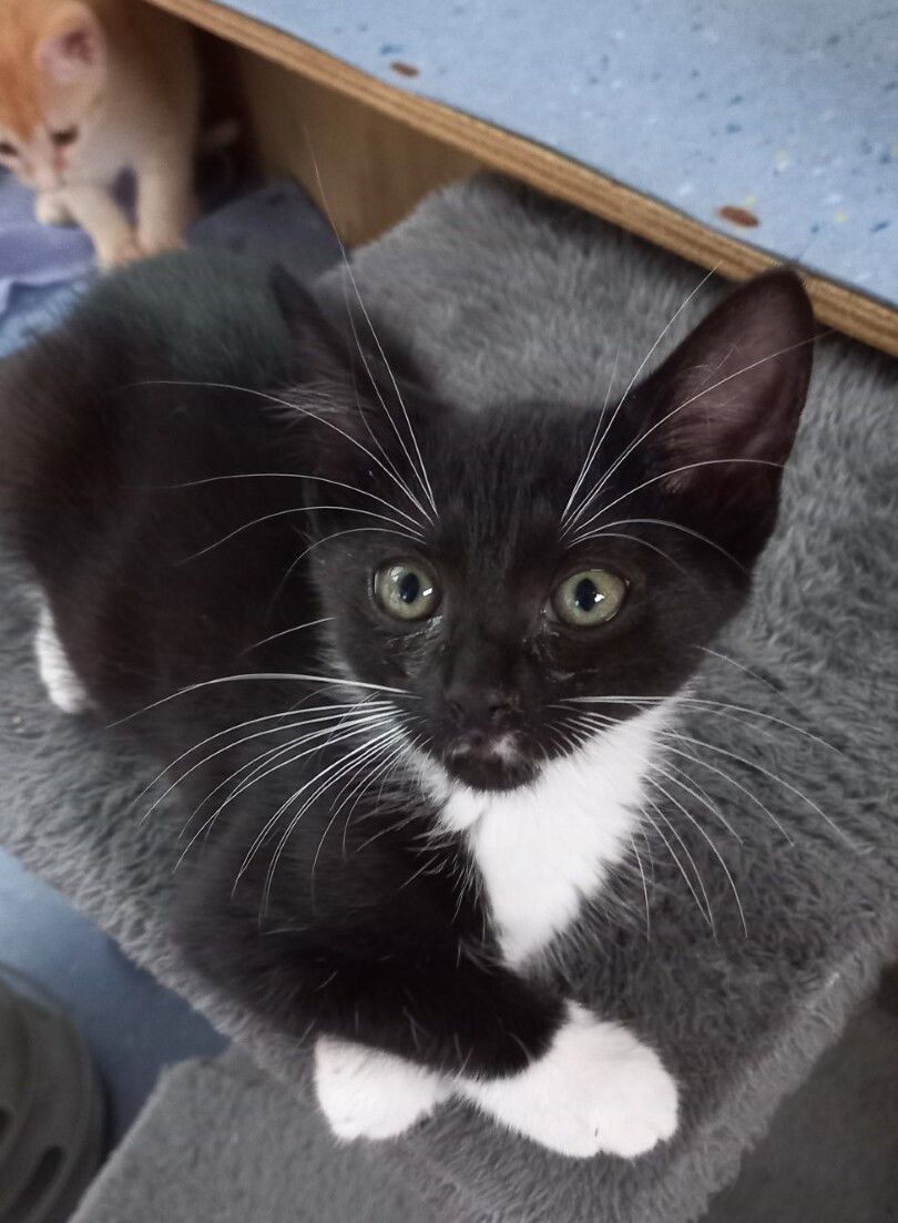 Gallery image: Monaco