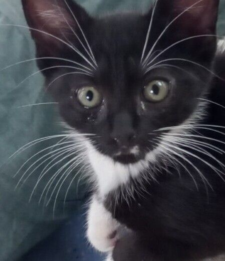 Gallery image: Monaco