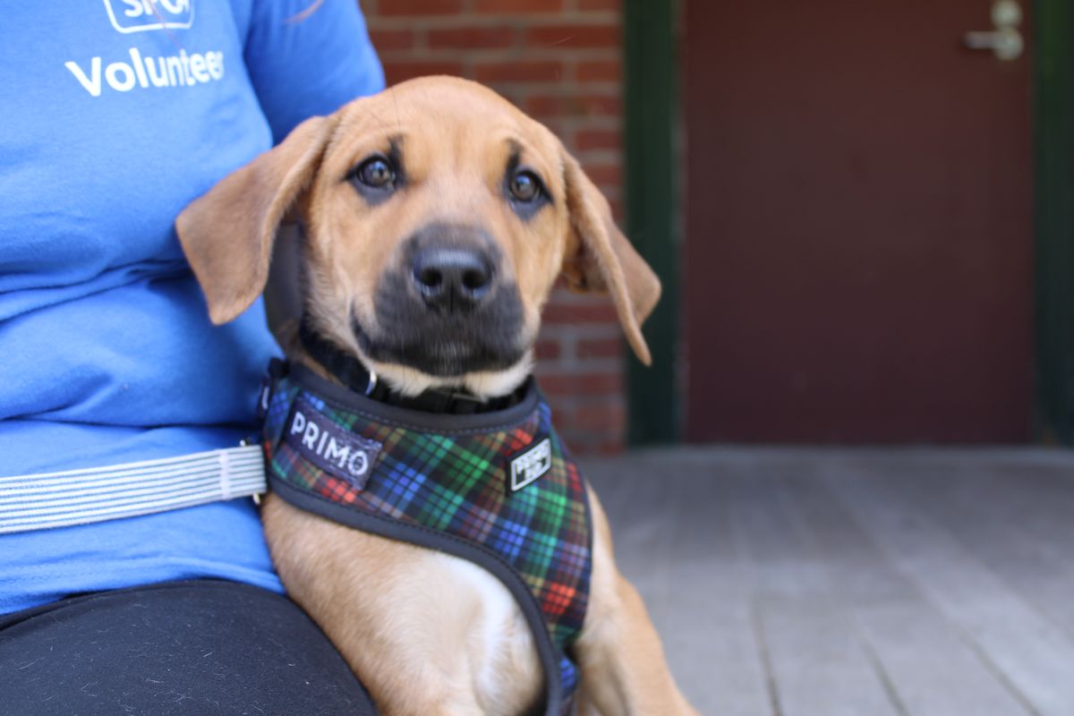 Gallery image: William