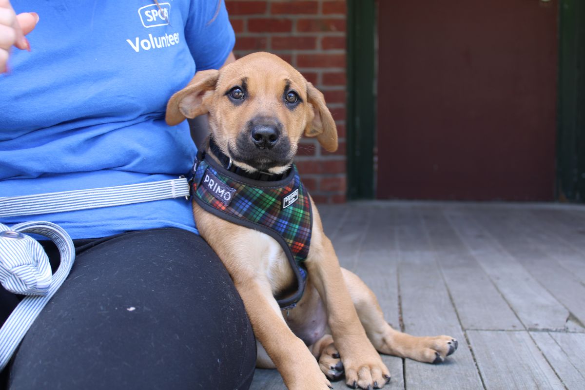 Gallery image: William