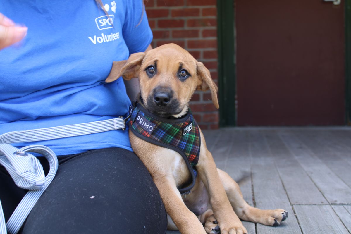 Gallery image: William