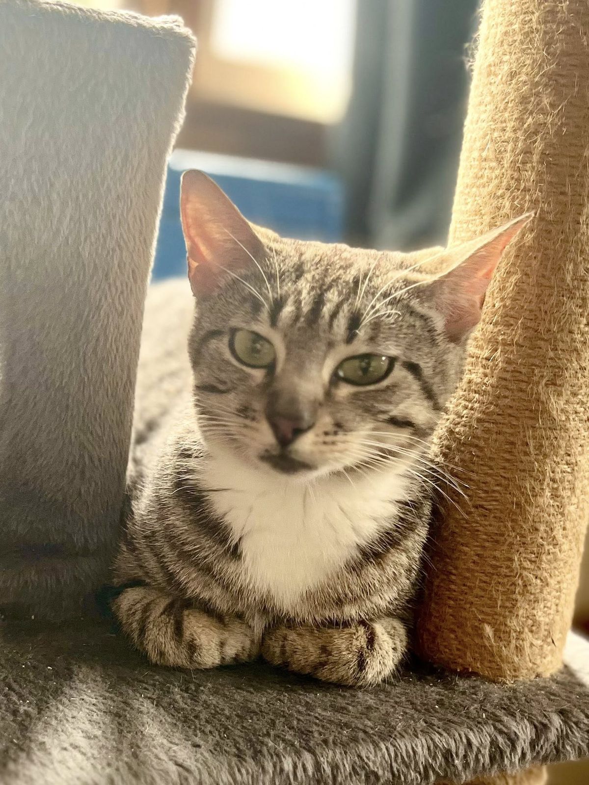 Gallery image: Penny