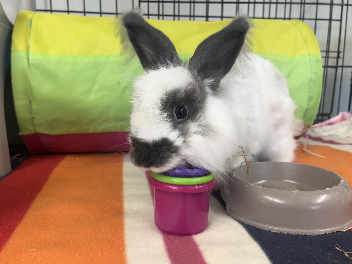 Gallery image: Hamish 