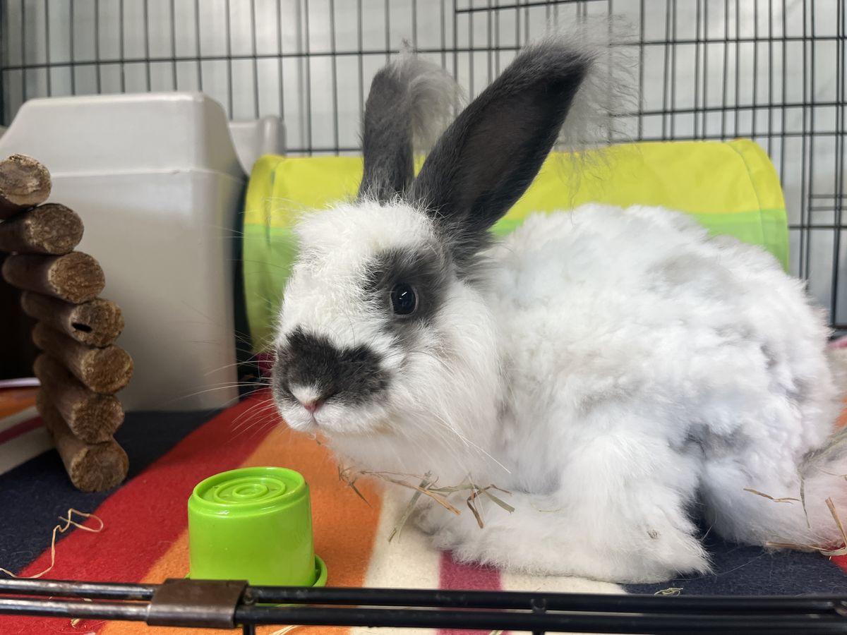 Gallery image: Hamish 