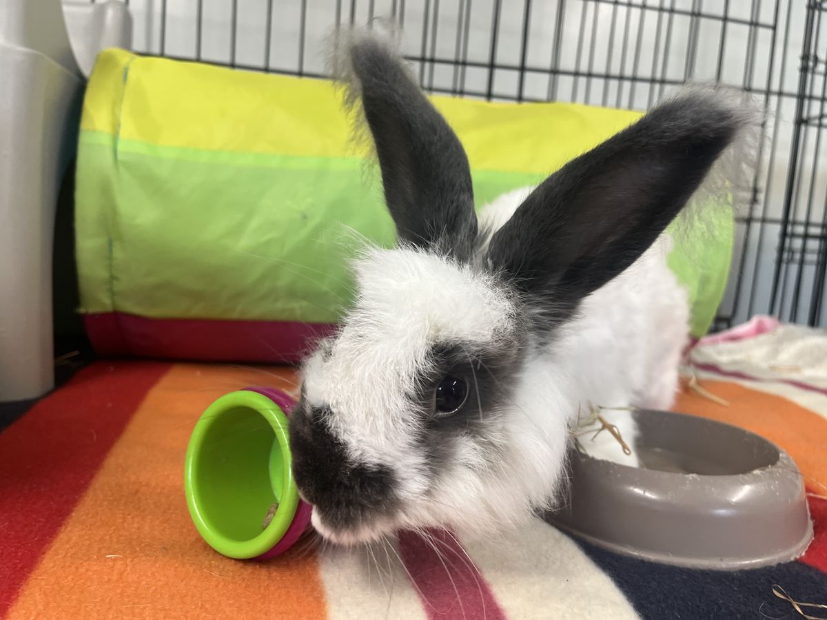 Gallery image: Hamish 