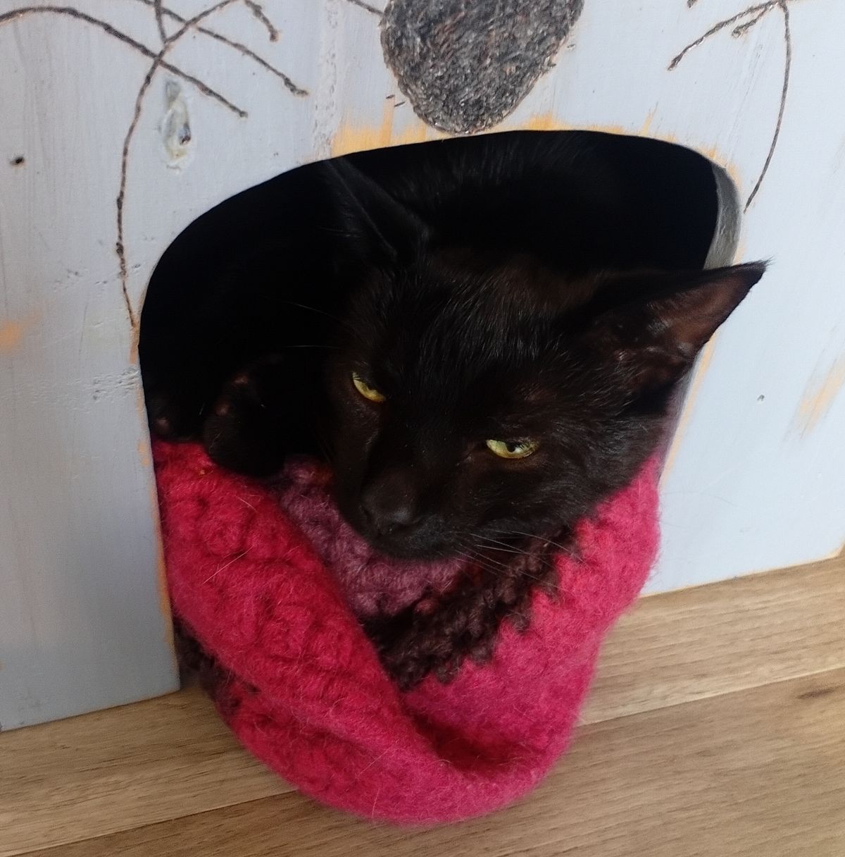 Gallery image: Cheese