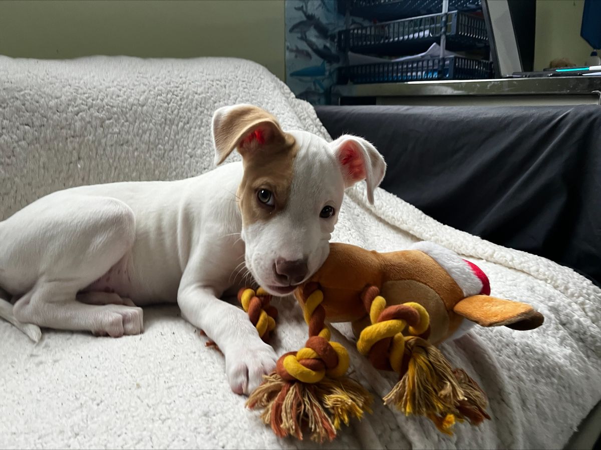 Gallery image: Radar