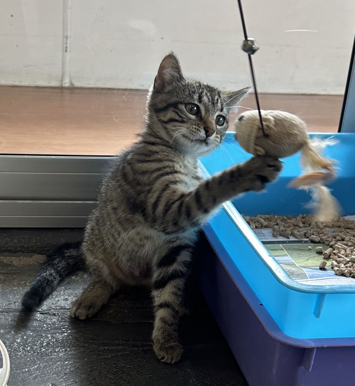 Gallery image: Summer