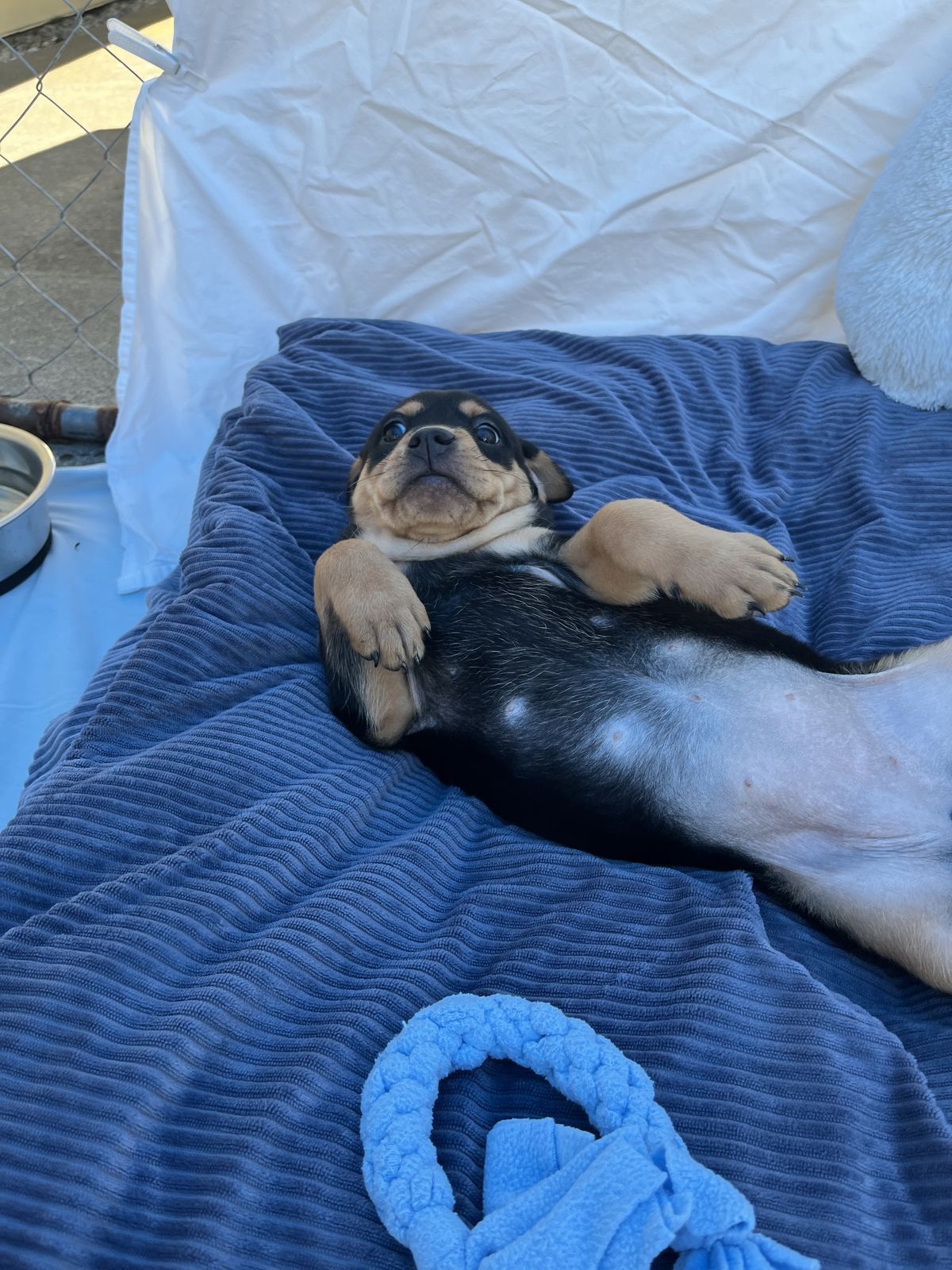 Gallery image:  aria 