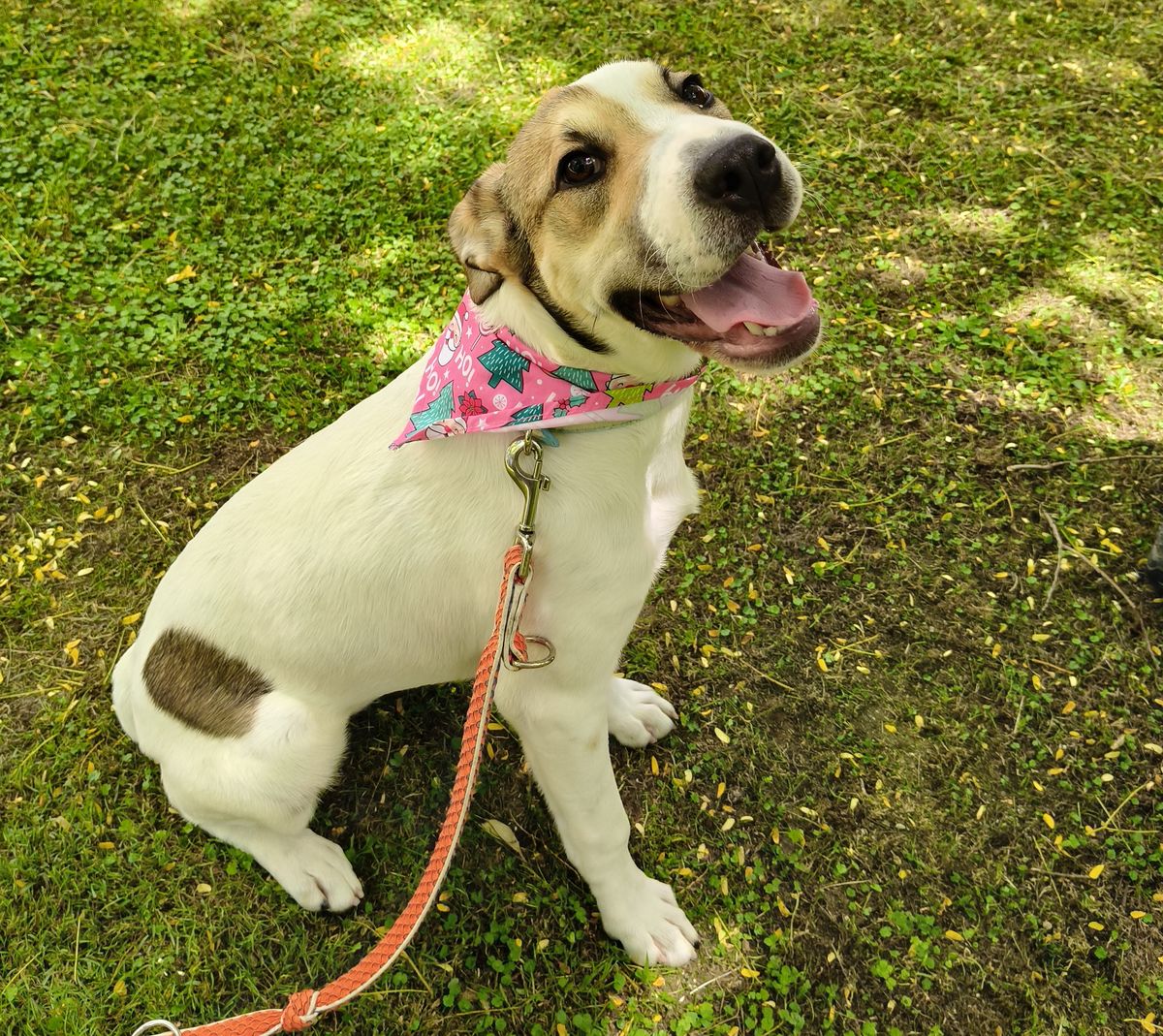 Gallery image: Sally