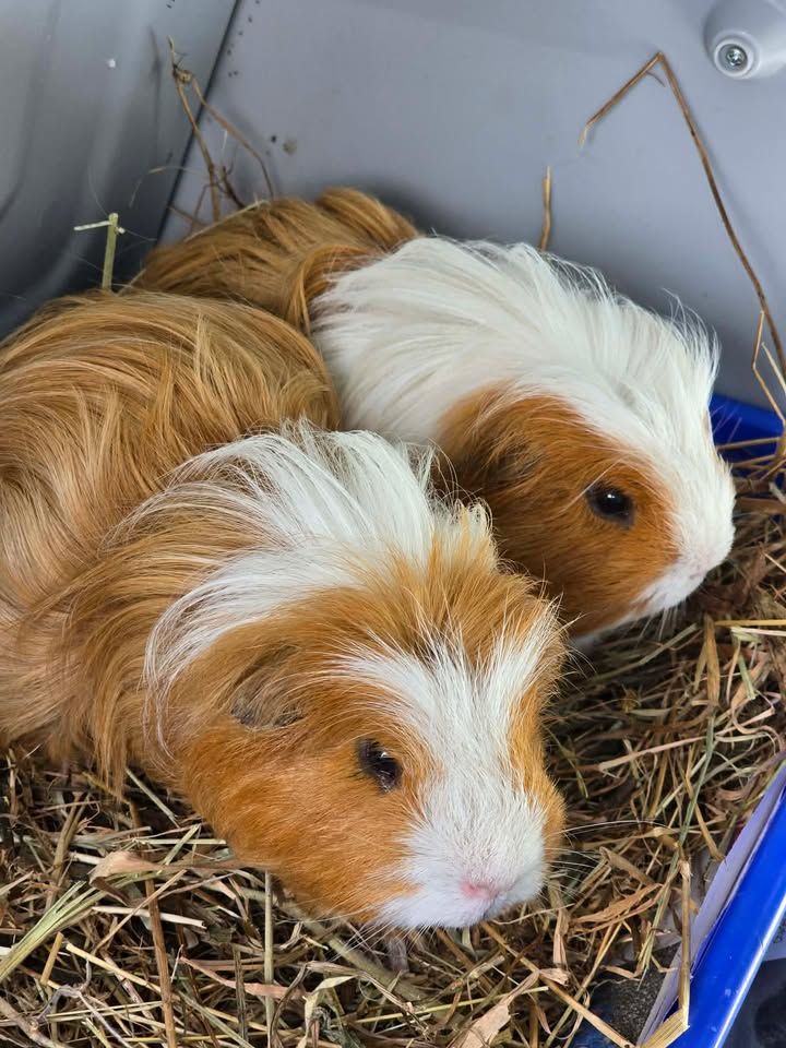 Gallery image: Mater