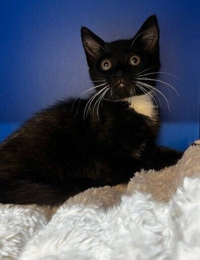 Gallery image: Florence