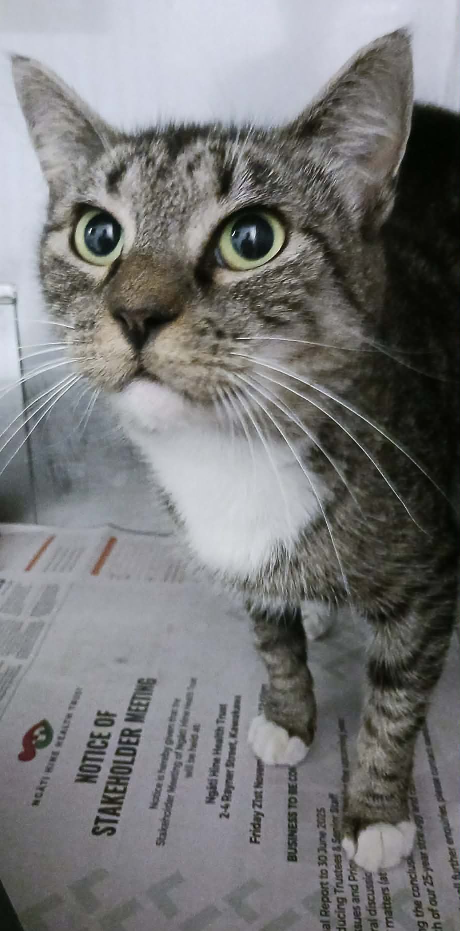 Gallery image: Rihanna