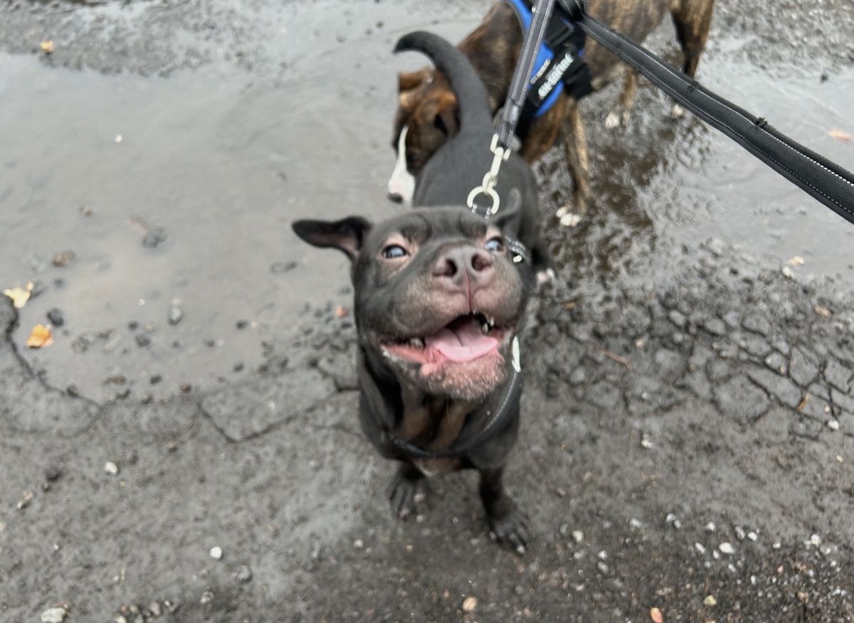 Gallery image: Cosmo