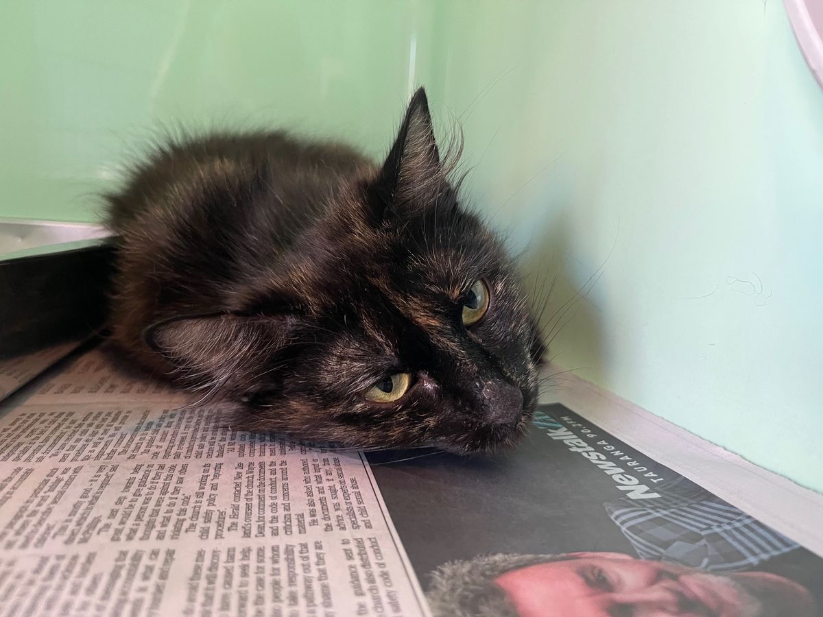 Gallery image: Juliette