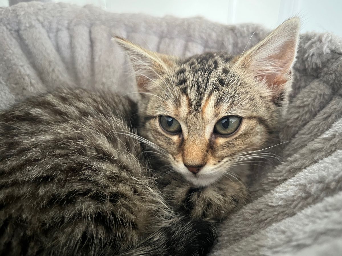 Gallery image: Bubbles