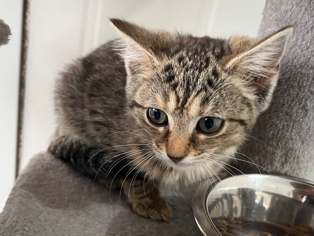 Gallery image: Bubbles