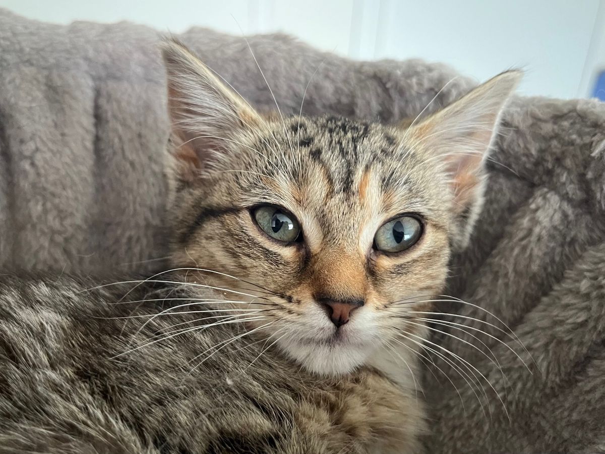 Gallery image: Bubbles