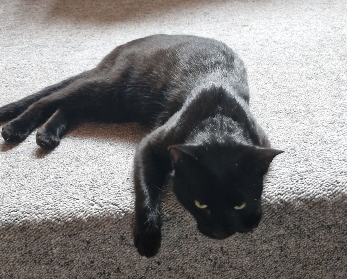 Gallery image: Cheese