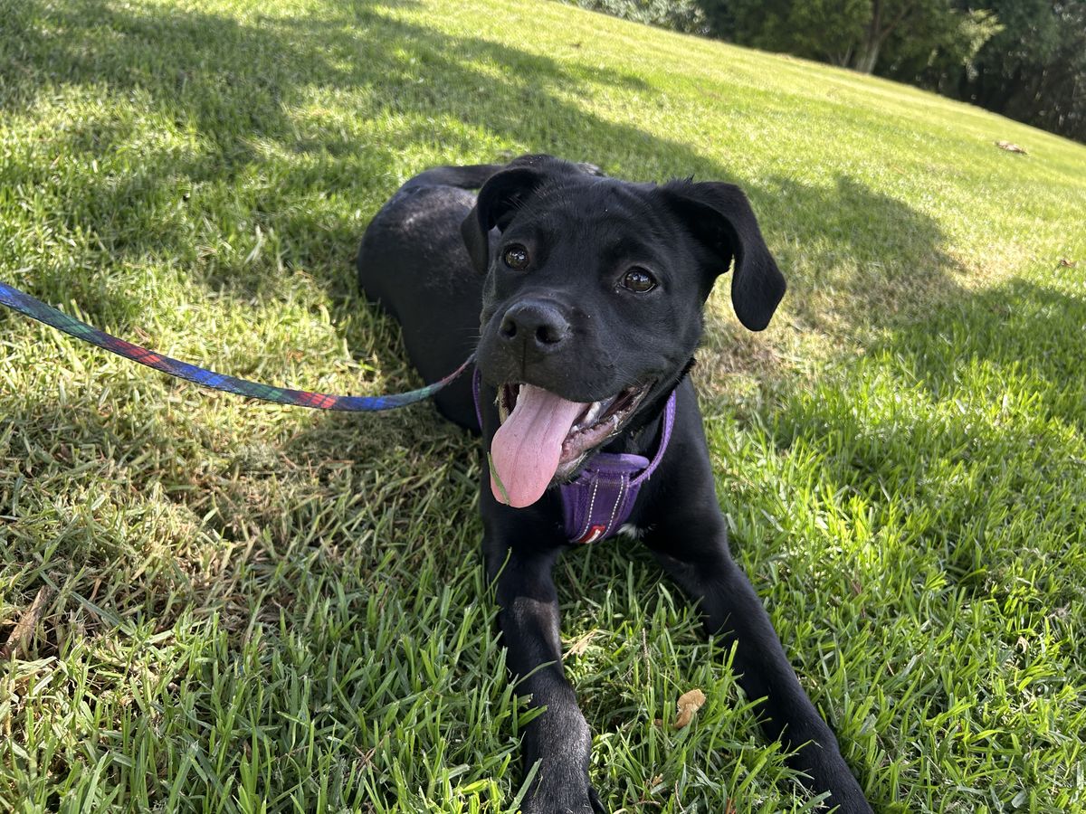 Gallery image: Charlotte