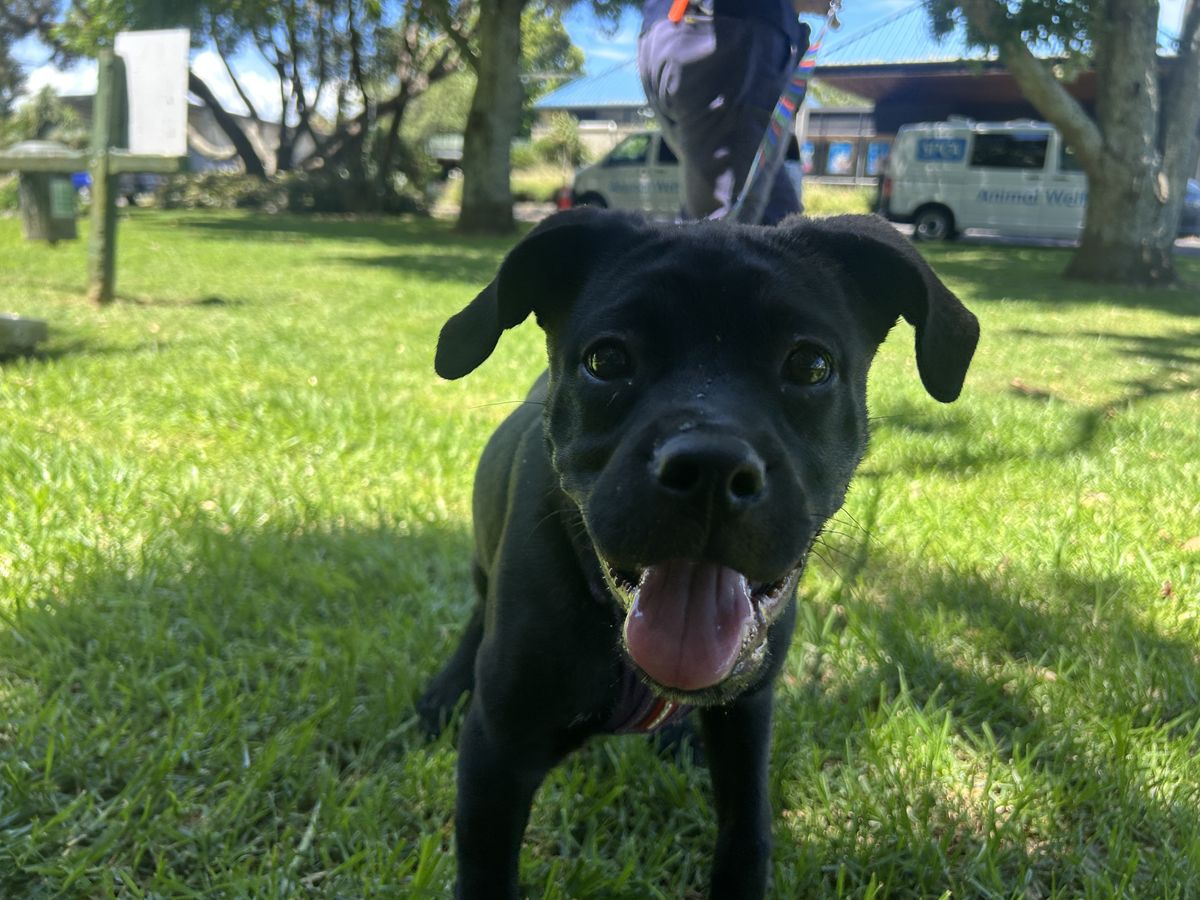 Gallery image: Charlotte