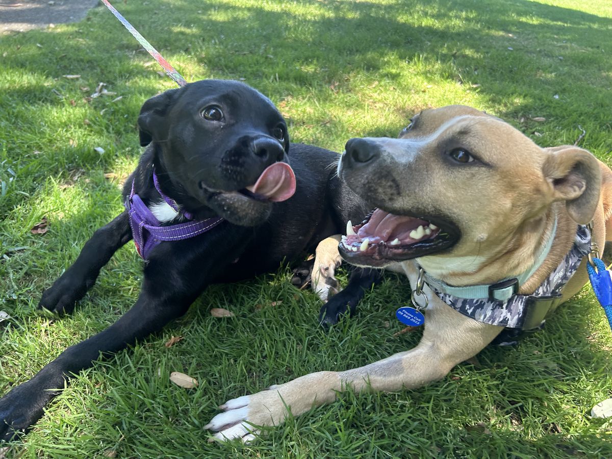 Gallery image: Charlotte