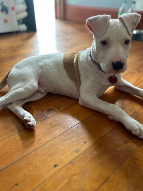 Gallery image: Timmy