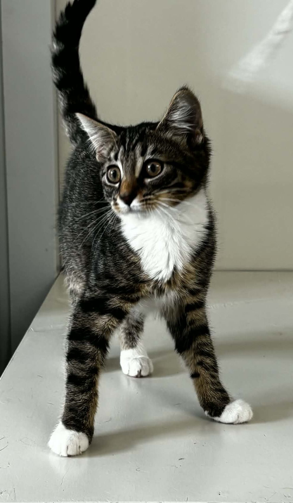 Gallery image: Helga