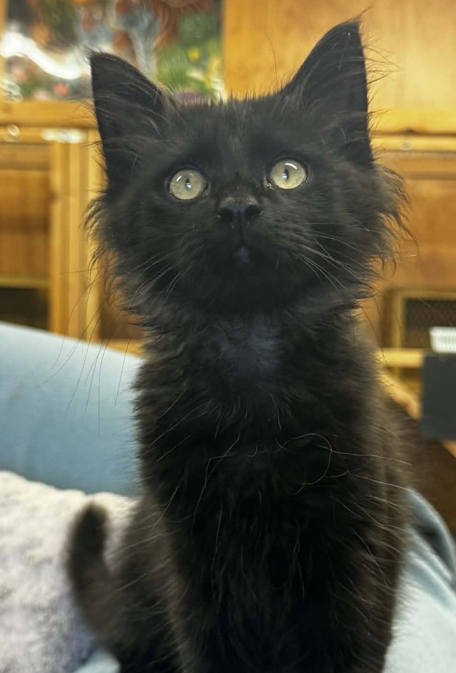 Gallery image: Jonathan