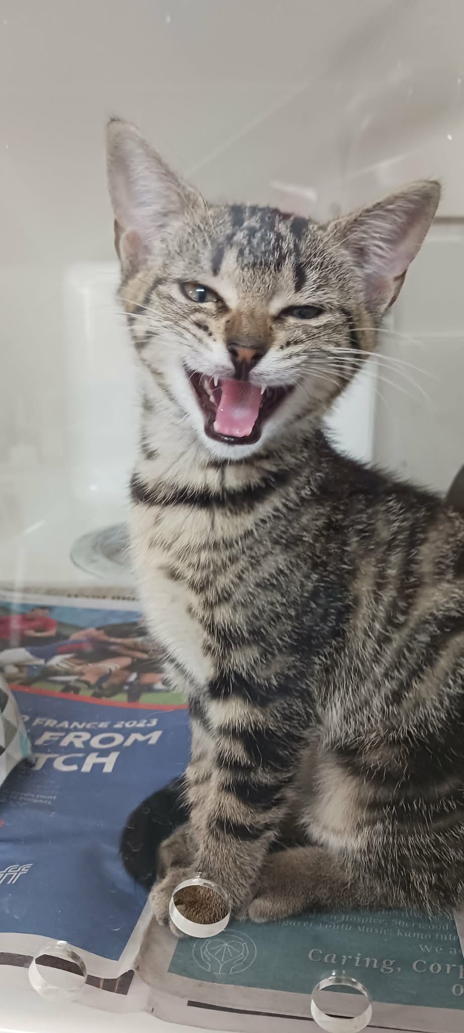 Gallery image: Sarah