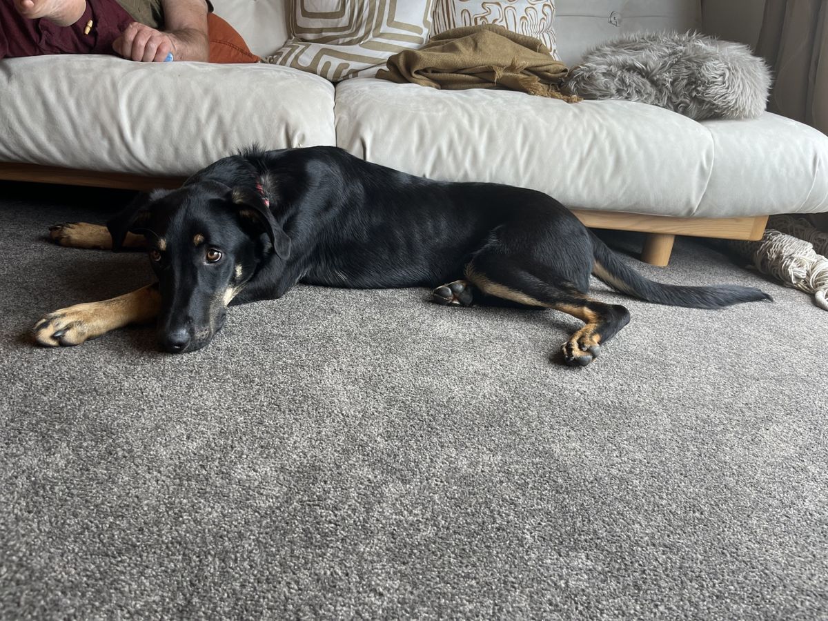 Gallery image: Tanggol