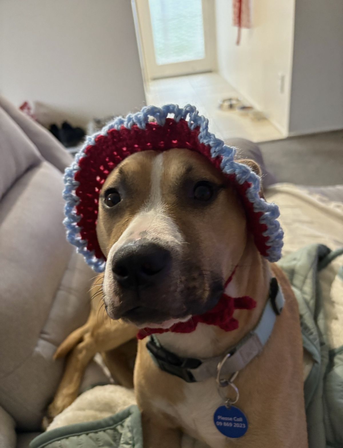 Gallery image: Harley