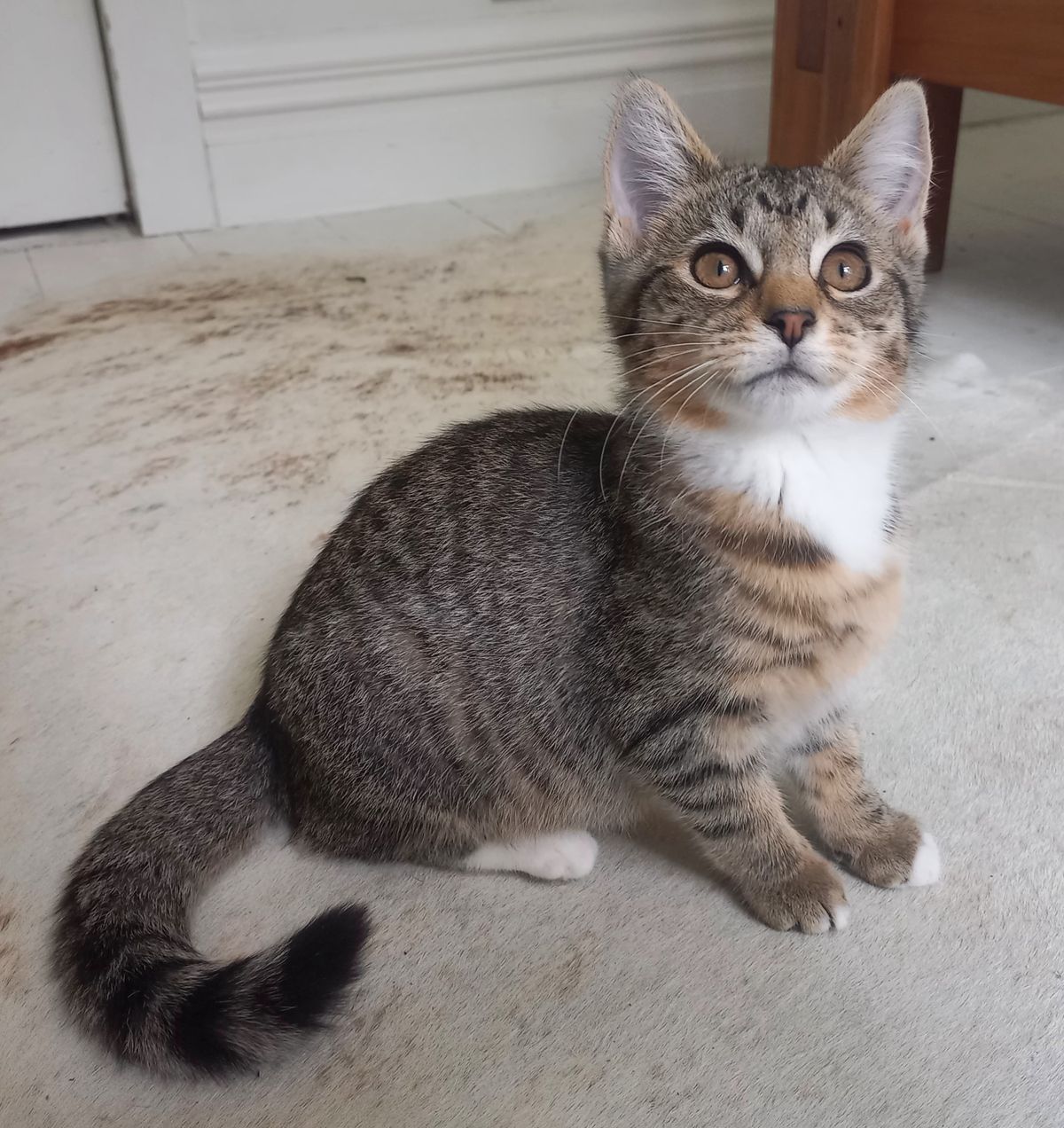 Gallery image: Honey