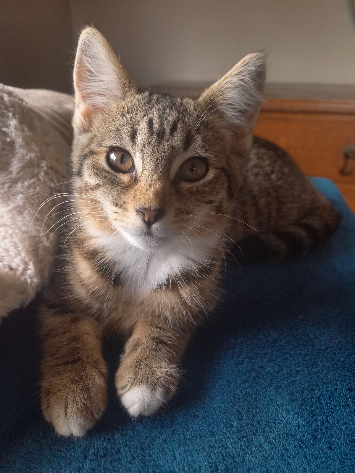 Gallery image: Honey