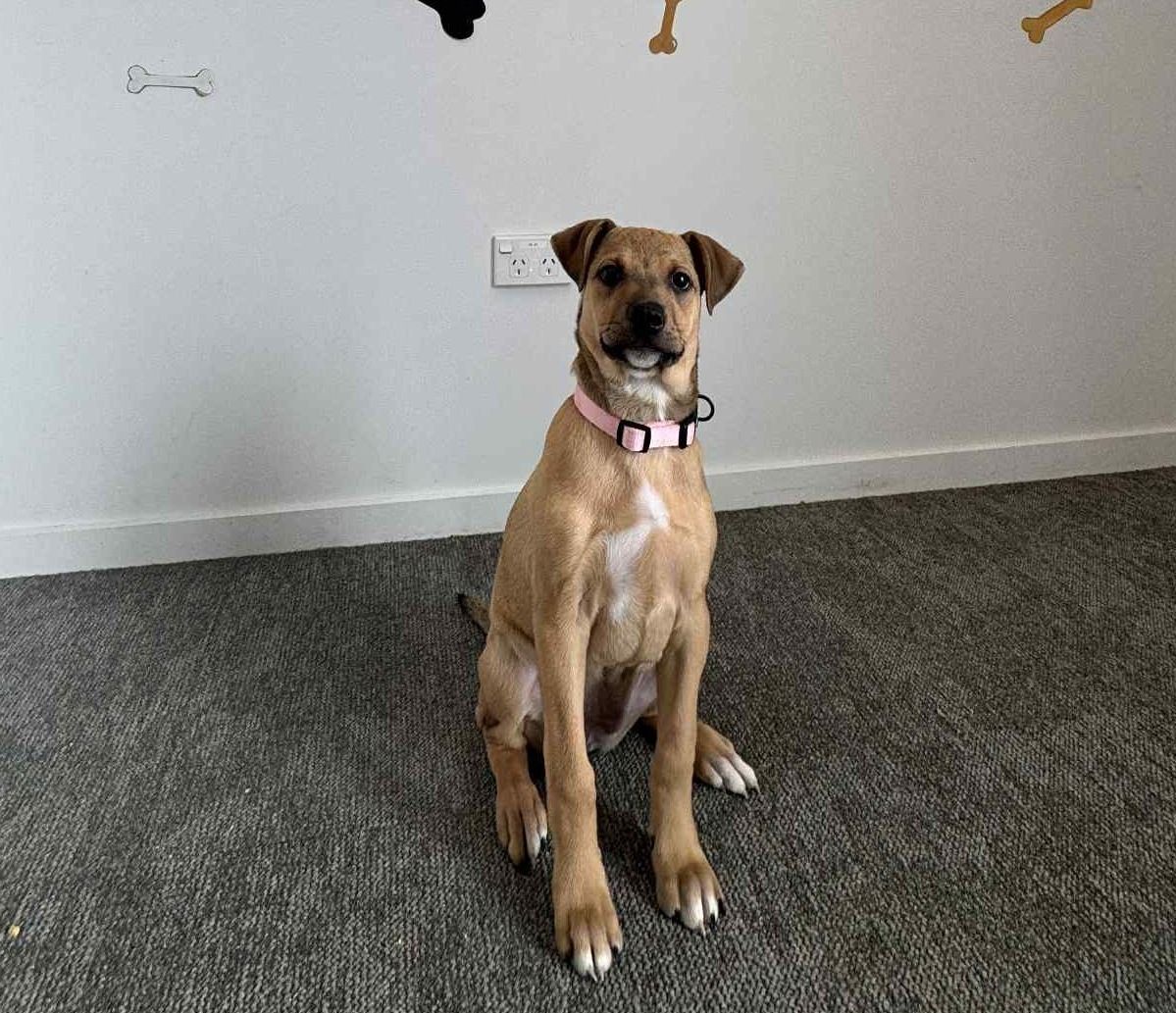 Gallery image: Janine