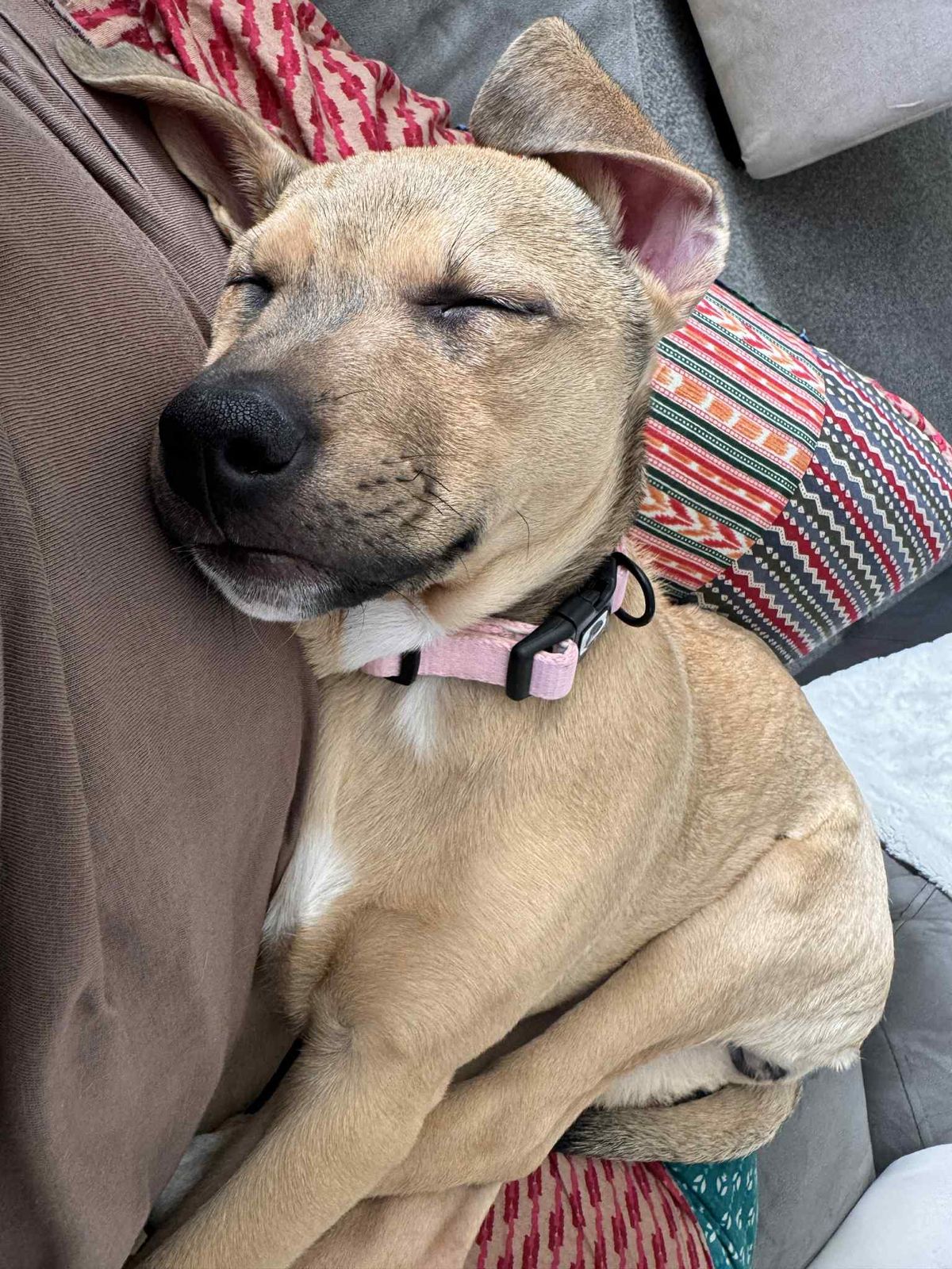 Gallery image: Janine