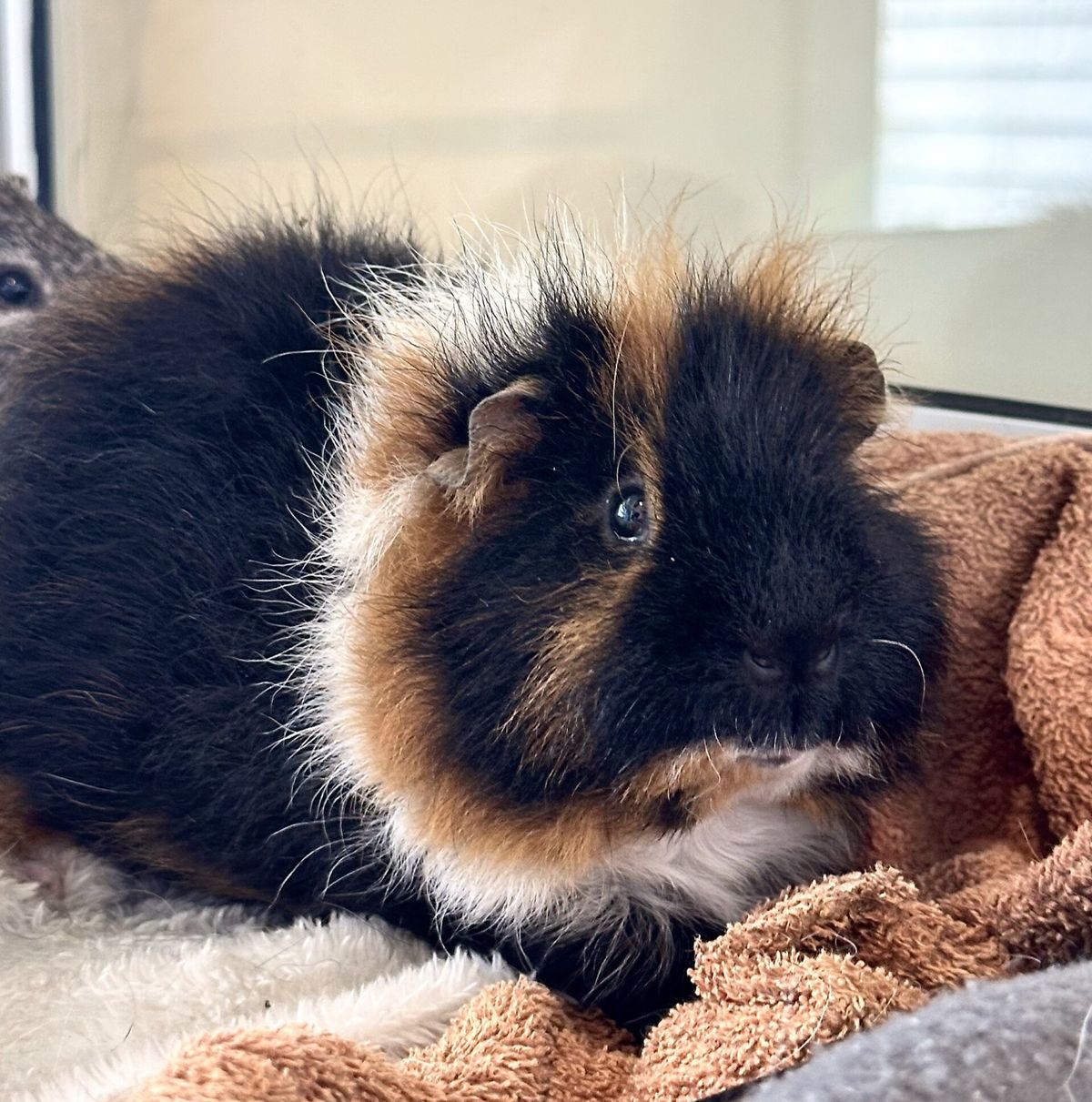 Gallery image: Patrick