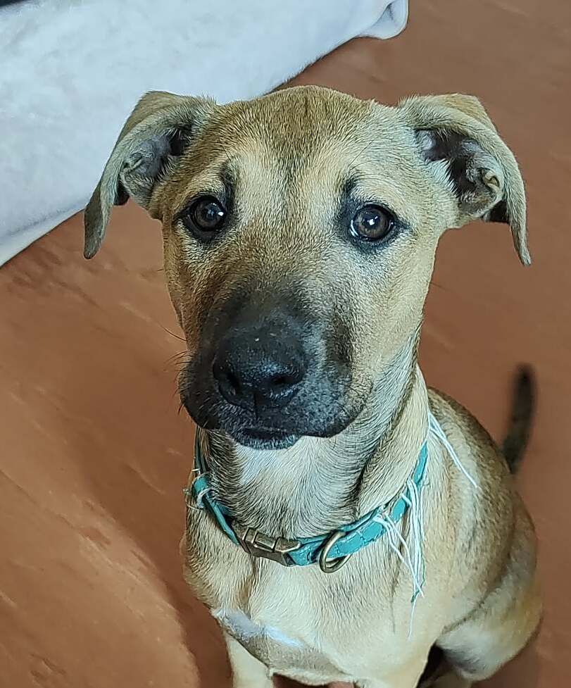 Gallery image: Christie